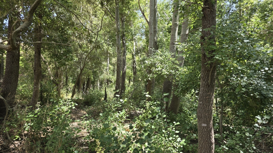 Commercial Property for Sale in Wellington Rural Western Cape